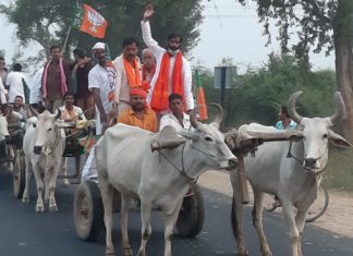 बैलगाड़ी यात्रा निकाल विधायक ने किया कृषकों को जागरूक