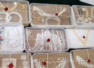 शातिर चोर गिरोह के दो सदस्य हत्थे चढ़े, 10 लाख का माल मिला