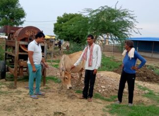 प्रधान की पहल : जरहाकला गौशाला से 5 गौवंश किए दान