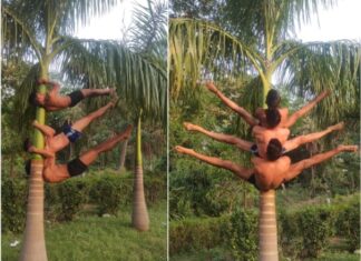 मल्लखम्भ पर प्रदर्शन को सभी ने सराहा