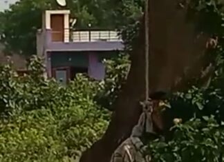 युवक की लाश पेड़ पर लटकी मिलने से दहशत