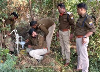 डेरा सिमरावारी से 350 लिटर कच्ची शराब बरामद