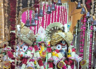 भगवान जगन्नाथ ने भाई बलभद्र व बहन सुभद्रा संग भक्तों को दर्शन दिए