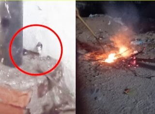 थाने में नागिन की हत्या कर चिता में जलाया !