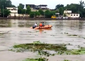 उफनती सुखनई नदी में गिरा बाइक सवार लापता