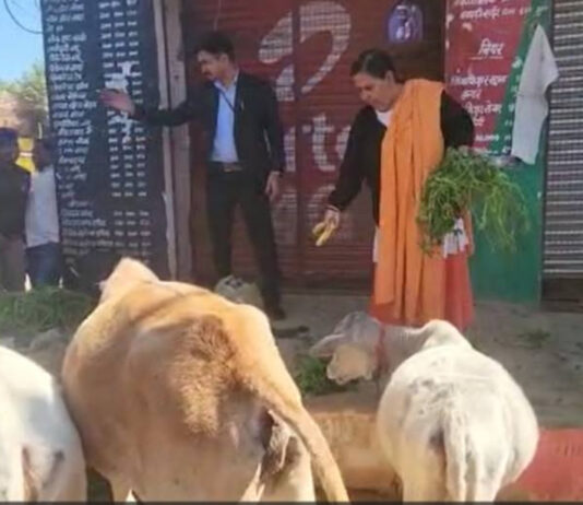 उमा भारती ने ओरछा में शराब क दुकान के सामने गाय बांध कर किया विरोध