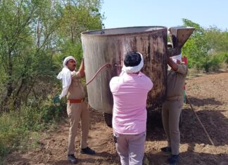डेरा दातार नगर परवई/सारमऊ में दबिश, 1550 लिटर कच्ची शराब बरामद