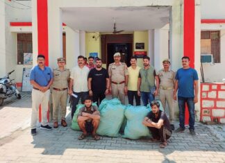 यूपी एसटीएफ व झांसी पुलिस द्वारा 15 लाख का गांजा बरामद