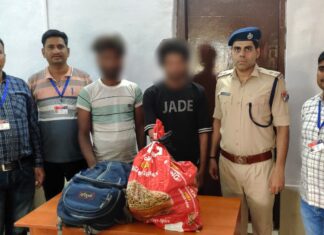 आरपीएफ व सिविल पुलिस दतिया ने 12 किग्रा गांजा सहित दो तस्कर दबोचे