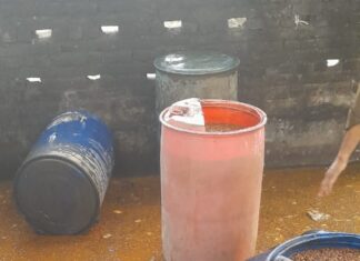 कबूतरा डेरा पाड़री व टांकोरी में दविश, 3 सौ लिटर कच्ची शराब बरामद