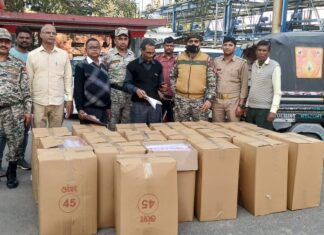 बिजौली में प्रतिबंधित प्लास्टिक डिस्पोजल सामग्री जब्त