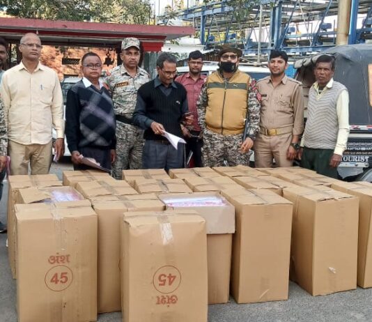 बिजौली में प्रतिबंधित प्लास्टिक डिस्पोजल सामग्री जब्त