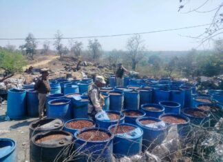 #Jhansi तेन्दौल कबूतरा डेरा में 4000 किग्रा लहन नष्ट
