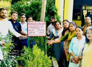 #Jhansi बीएसए कार्यालय में दिवंगत शिक्षक की स्मृति में वृक्षारोपण