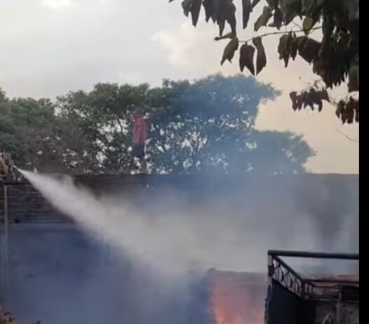 Jhansi लकड़ी के गोदाम में भड़के शोले, अफरातफरी