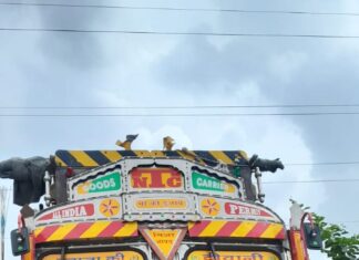 #Jhansi 48 भैंसों से लदा ट्रक पकड़ा