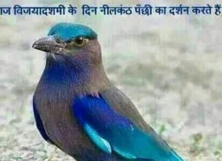 आज़ नगर में रूट डायवर्जन/नो एण्ट्री/पार्किंग व्यवस्था