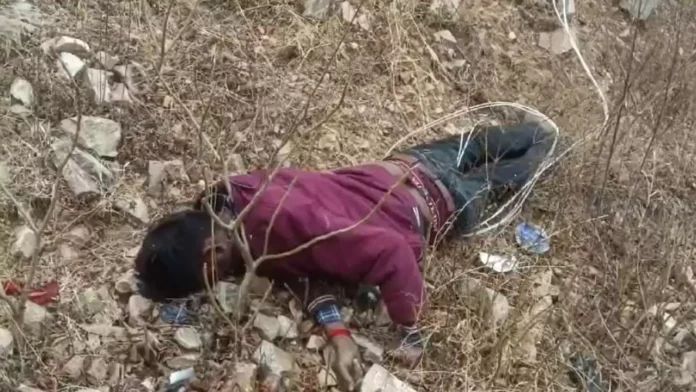 1829459-befunky-collage32