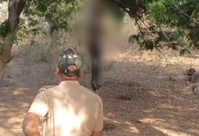 WhatsApp-Image-2025-03-28-at-10.25.05-PM