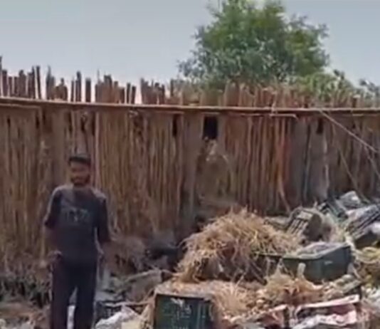 #Jhansi ट्रक पलटा, सड़क पर बिखरे आम उठाने दौड़े ग्रामीण