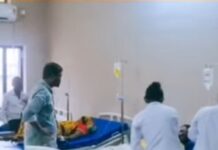 #Jhansi खेल खेल में विषाक्त धतूरा पत्ता खाने से 4 मासूमों की हालत गंभीर