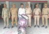 1500 सीसीटीवी फुटेज खंगाले तब हत्थे चढ़ा स्कूटी सवार लुटेरा