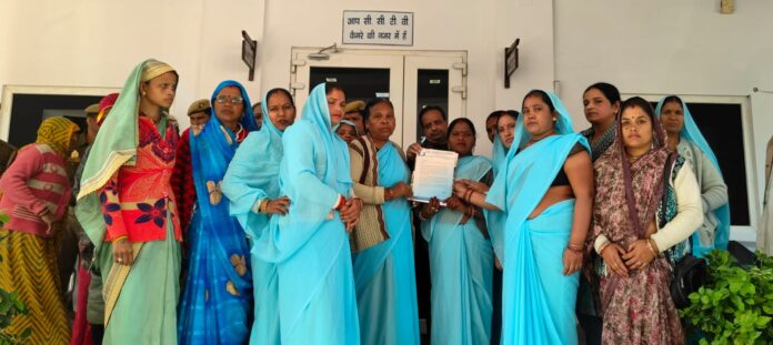 WhatsApp Image 2025-12-11 at 15.26.50 (1)