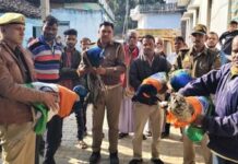 #Jhansi चार राष्ट्रीय पक्षी मोर की मौत से सनसनी, एक का इलाज जारी