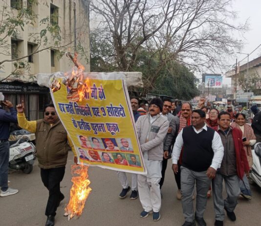 पुलिस ने झूमा झटकी कर अखण्ड बुंदेलखंड के नौ सांसदों के पुतले झटके