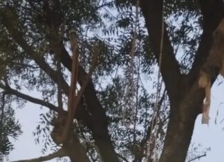 अधूरी प्रेम कहानी : एक ही रस्सी के दो फंदों से लटके मिले अलग-अलग धर्म के युगल के शव