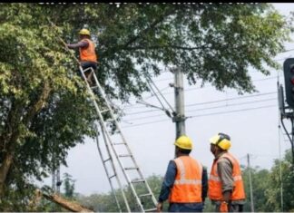 # Jhansi ताकि सिग्नल साफ़ साफ़ दिखें व ओएचई बाधित न हो