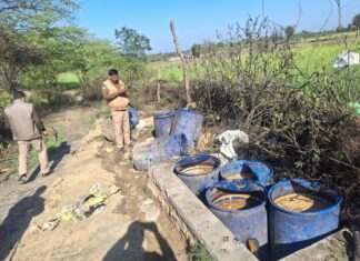 आबकारी की कार्यवाही, 305 लीटर अवैध शराब बरामद