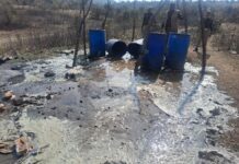 280 लीटर अवैध शराब बरामद, 600 किग्रा लहन व ड्रम नष्ट