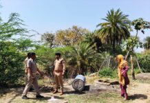 आबकारी का प्रवर्तन अभियान, 590 लीटर अवैध शराब बरामद