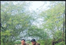 आबकारी टीम की कार्रवाई में 635 लीटर अवैध शराब बरामद