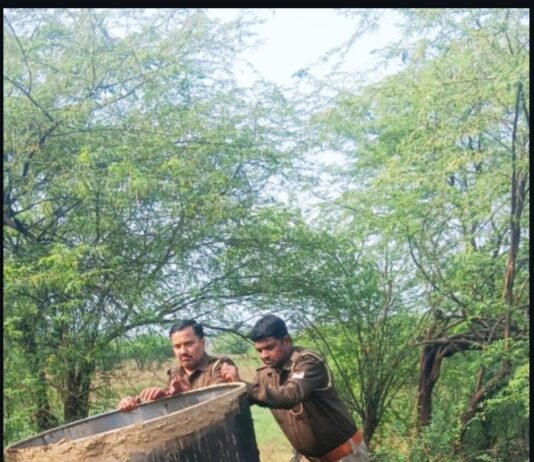 आबकारी टीम की कार्रवाई में 635 लीटर अवैध शराब बरामद