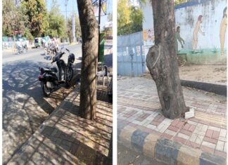 झांसी में सौंदर्यीकरण के नाम पर पेड़ों की कटाई व कंक्रीटीकरण पर एनजीटी गंभीर