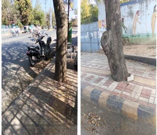 झांसी में सौंदर्यीकरण के नाम पर पेड़ों की कटाई व कंक्रीटीकरण पर एनजीटी गंभीर