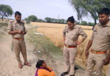 आबकारी का प्रवर्तन अभियान, 560 लीटर अवैध शराब बरामद