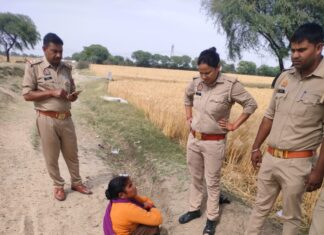 आबकारी का प्रवर्तन अभियान, 560 लीटर अवैध शराब बरामद