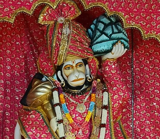 श्री गिरधारी जू मंदिर पर धूमधाम से मनाया गया हनुमंत लाल का प्राकट्योत्सव
