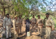 आबकारी अभियान, 208 लीटर अवैध शराब बरामद