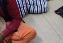 Operation ‘WILEP’ : RPF व GRP की संयुक्त कार्रवाई में दुर्लभ प्रजाति के सांपों के साथ 3 तस्कर गिरफ्तार