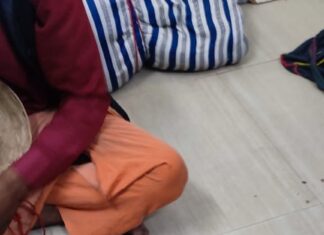 Operation ‘WILEP’ : RPF व GRP की संयुक्त कार्रवाई में दुर्लभ प्रजाति के सांपों के साथ 3 तस्कर गिरफ्तार