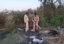 आबकारी का प्रवर्तन अभियान, 472 लीटर अवैध शराब बरामद