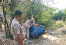 आबकारी अभियान, 170 लीटर अवैध शराब बरामद