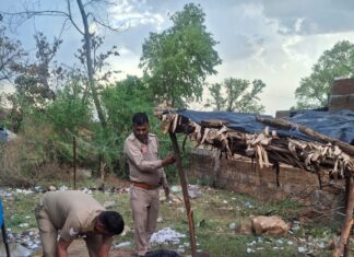 आबकारी का प्रवर्तन अभियान, 255 लीटर अवैध शराब बरामद