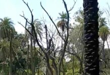 23 करोड़ के सौंदर्यीकरण में नारायण बाग का अस्तित्व गुम