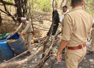 आबकारी, 205 लीटर अवैध शराब बरामद, 2400 किग्रा लहन नष्ट