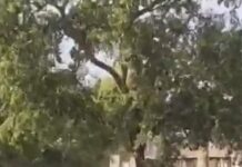 बीयू में परीक्षार्थियों से सुरक्षा गार्ड्स द्वारा दुर्व्यवहार व मारपीट से हंगामा